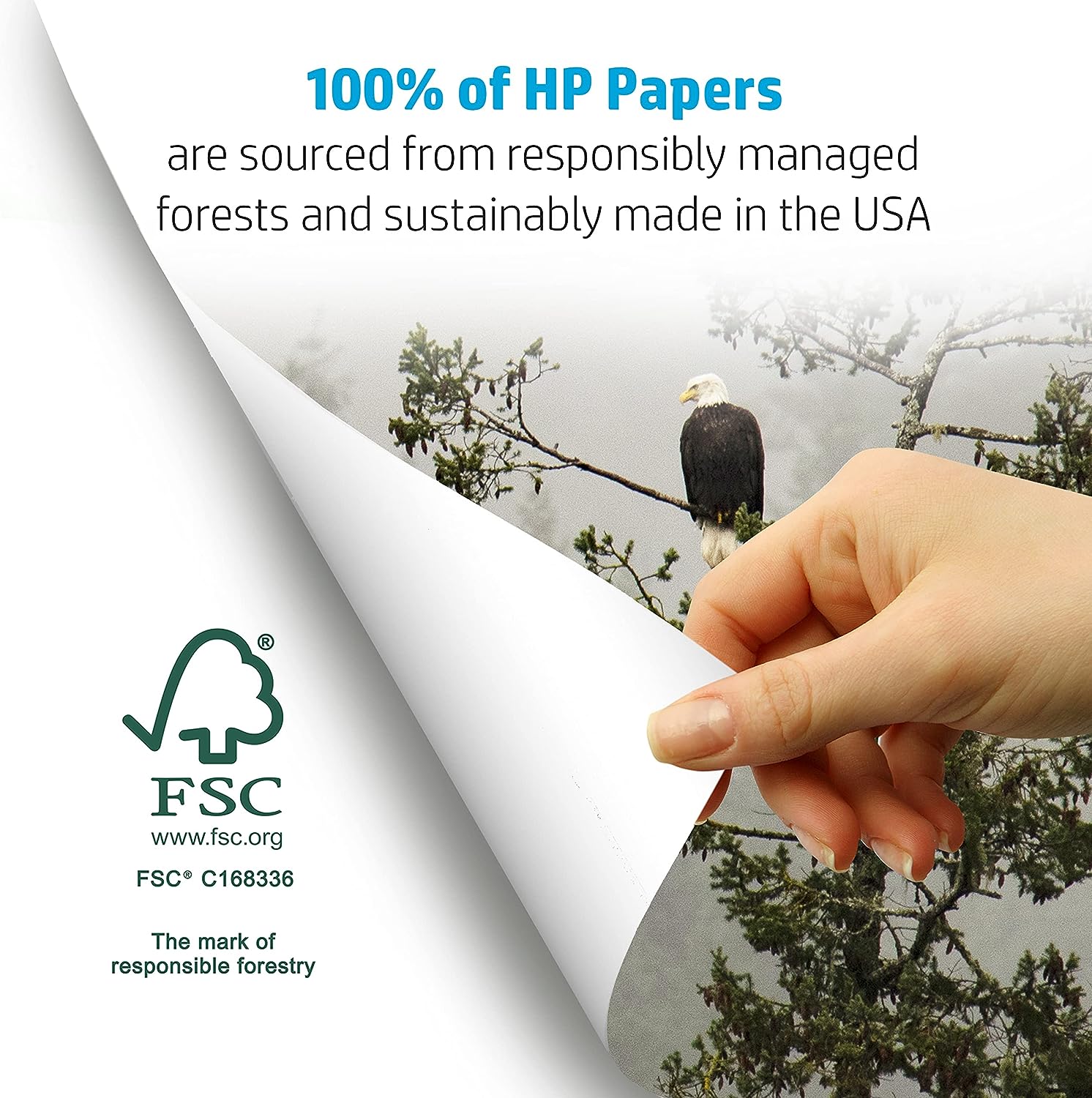 HP Printer Paper 2500 Sheets - Prime Star Plus Inc.